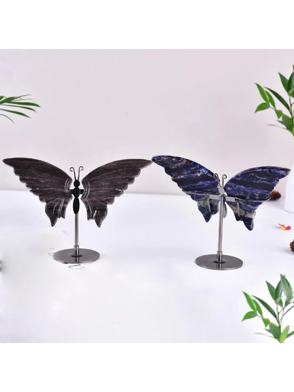 N/A transform your